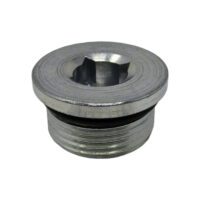 Drain Plug - 100557A1