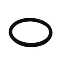 O-ring - 100748A1