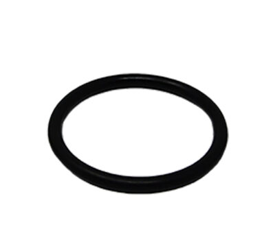 O-ring - 100748A1