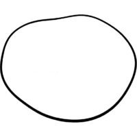 O ring - 181142A1