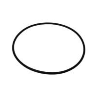 O-Ring - 401066A1