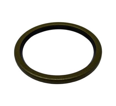 Seal - 50X60X4
