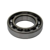 Ball Bearing - 6007