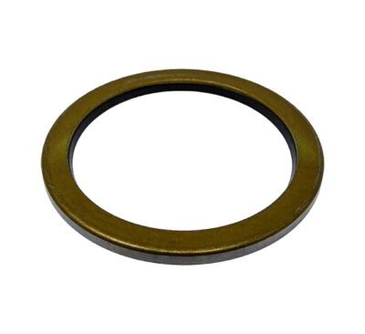 Seal - 60X75X4