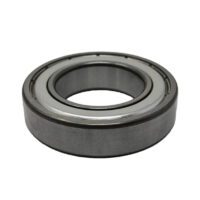 ball bearing - 6107