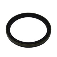 Sealing Ring - 87349641
