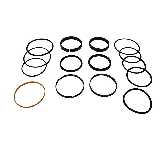 Seal Kit, Bore - AHC19979