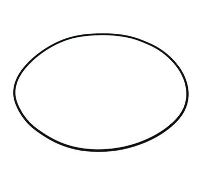 O-Ring - P2930467