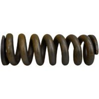 Recoil Spring - T211395