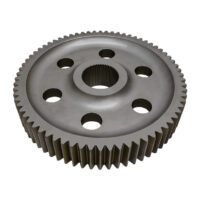 Spur Gear, 70T - T289171